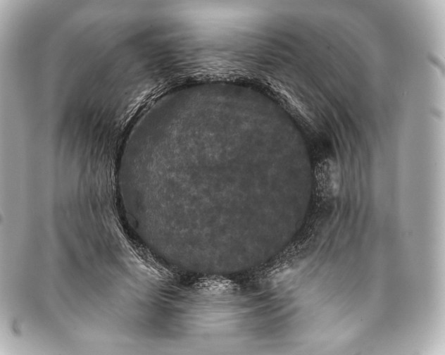 X0000095530642200712281523