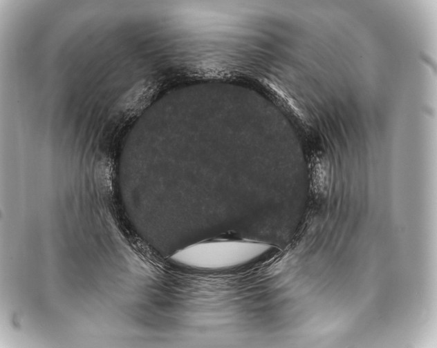 X0000095530643200712281523
