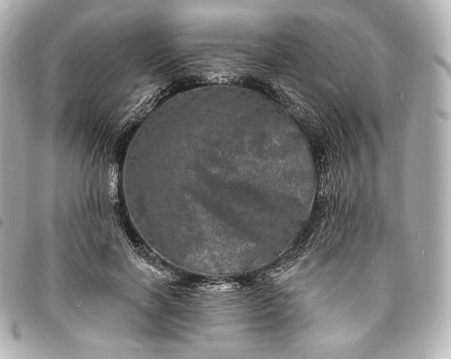 X0000095530646200712281523