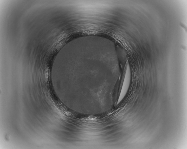 X0000095530647200712281523