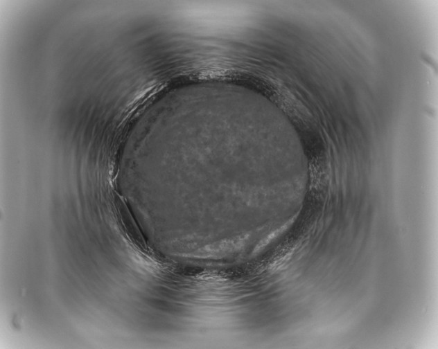 X0000095530648200712281523