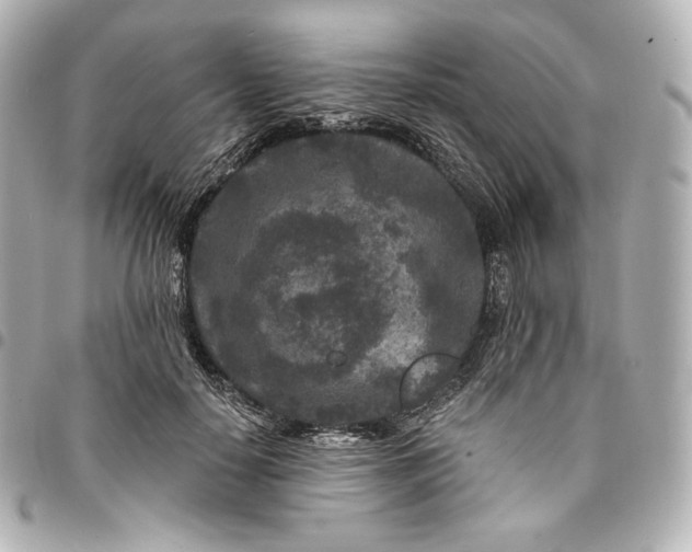 X0000095530650200712281523