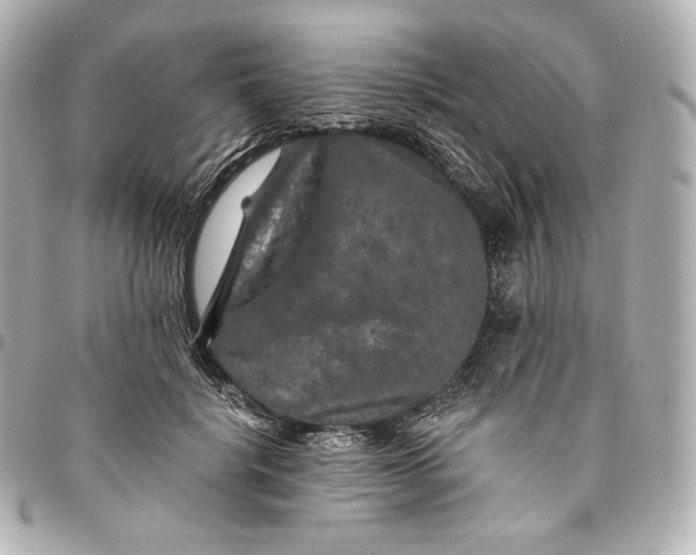 X0000095530652200712281523