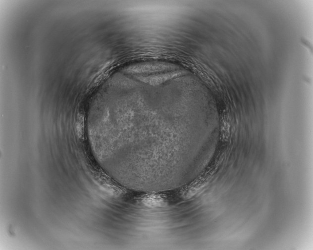 X0000095530656200712281523