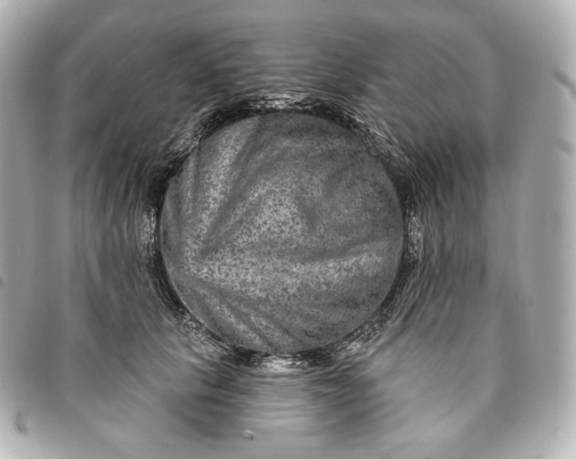 X0000095530657200712281523