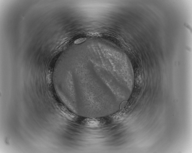 X0000095530658200712281523