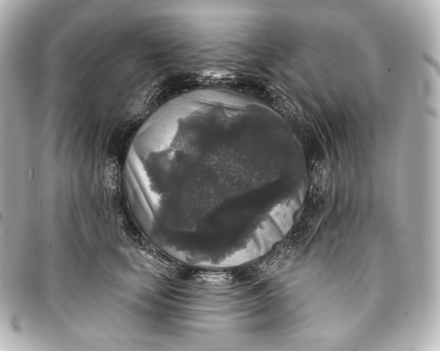 X0000095530659200712281523