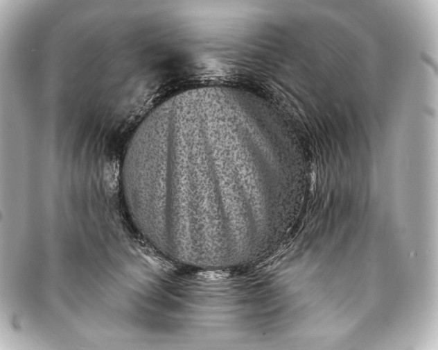 X0000095530660200712281523