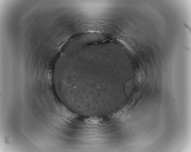 X0000095530661200712281523