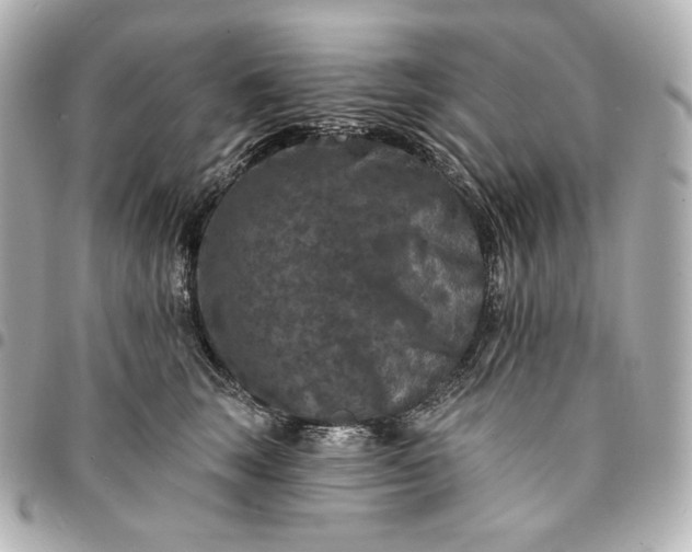 X0000095530663200712281523