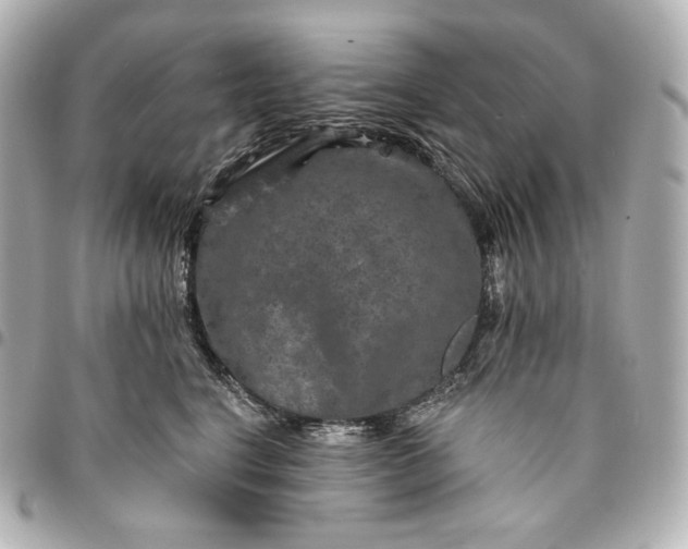 X0000095530664200712281523