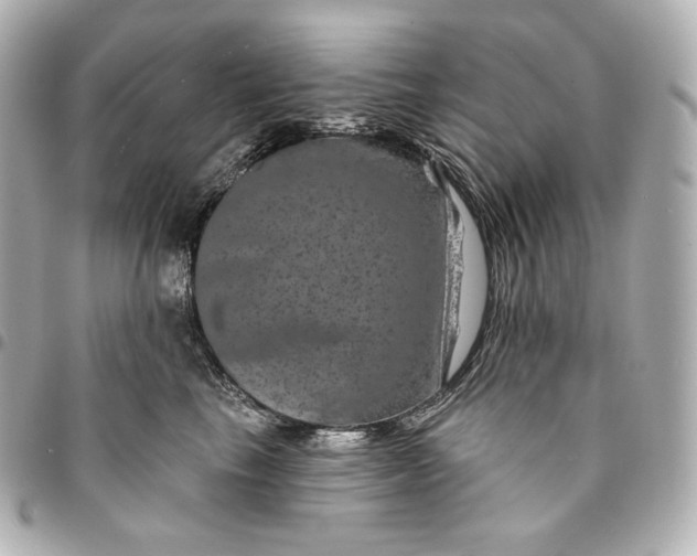 X0000095530665200712281523