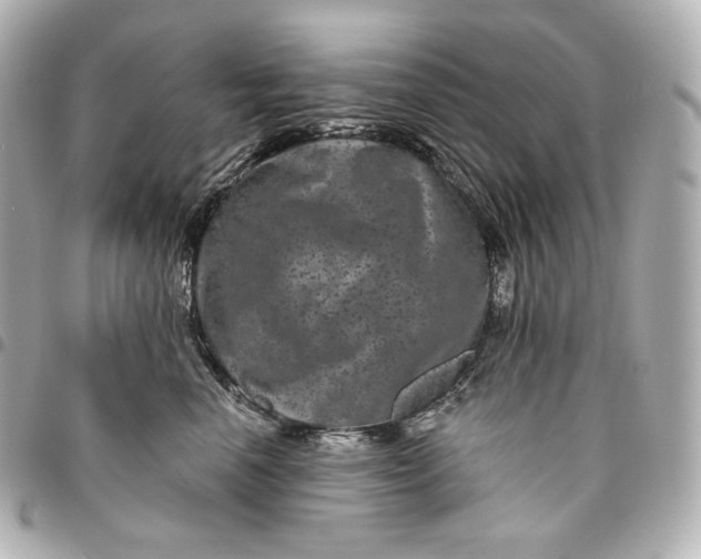 X0000095530666200712281523