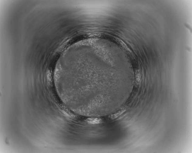 X0000095530667200712281523