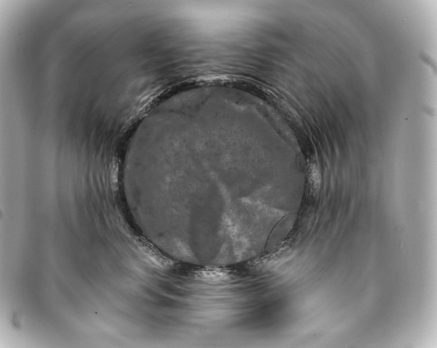 X0000095530668200712281523