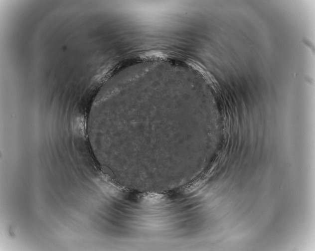 X0000095530669200712281523