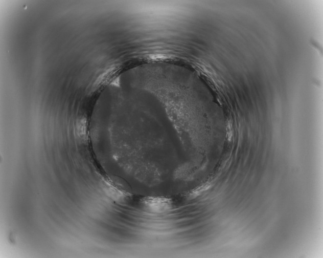 X0000095530670200712281523