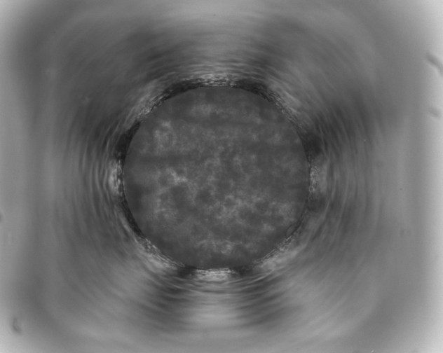 X0000095530671200712281523