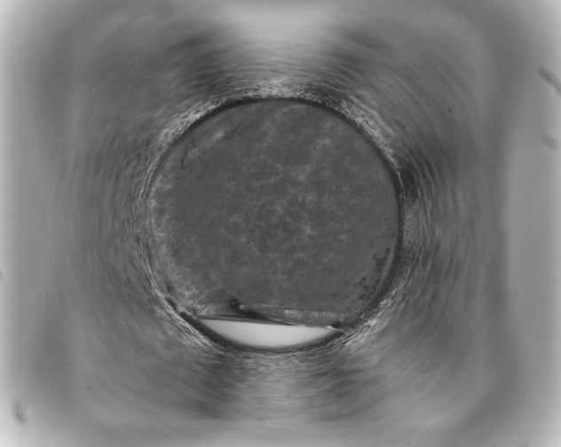 X0000095530673200712281522