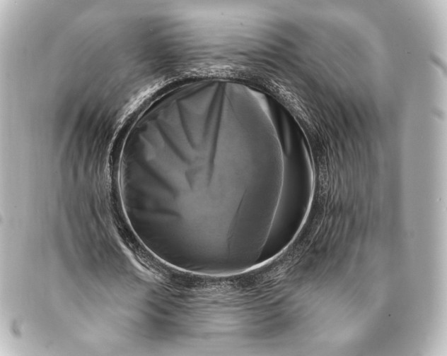 X0000095530674200712281522