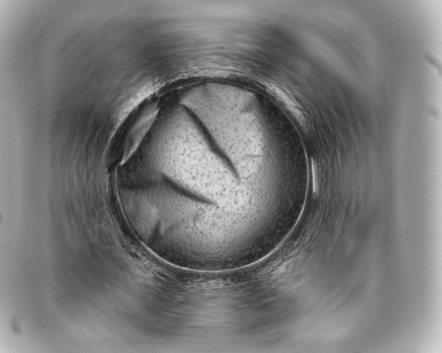 X0000095530675200712281522