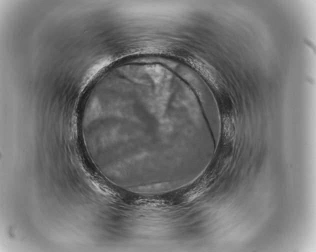 X0000095530676200712281522