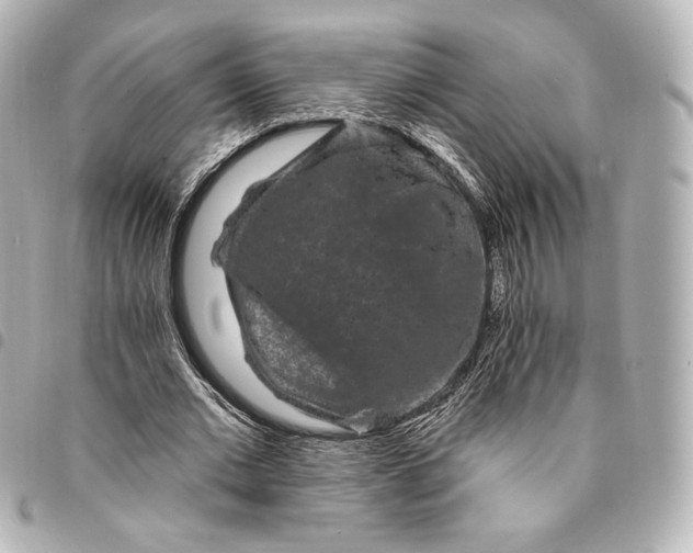 X0000095530677200712281522