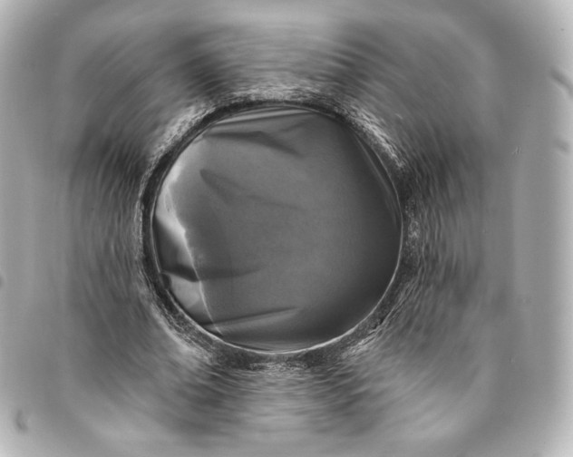 X0000095530678200712281522