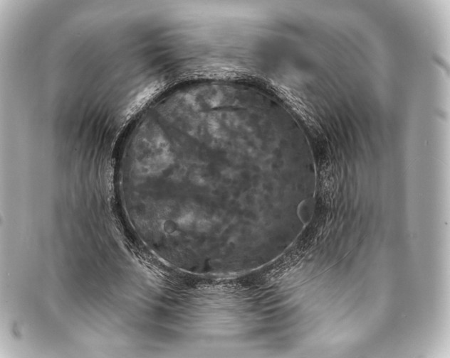 X0000095530679200712281522