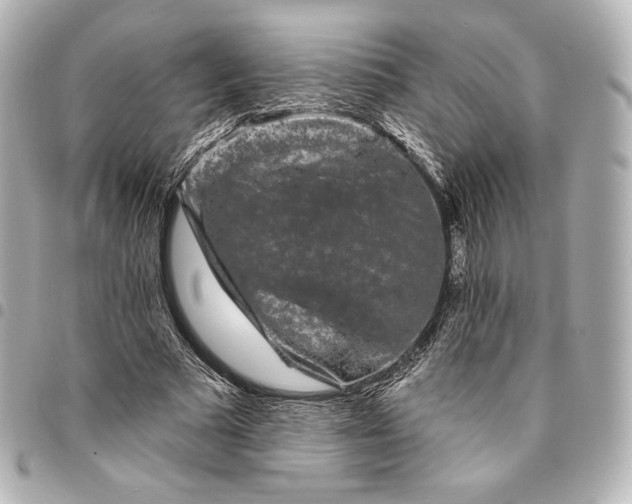 X0000095530681200712281522