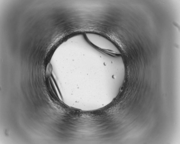 X0000095530684200712281522