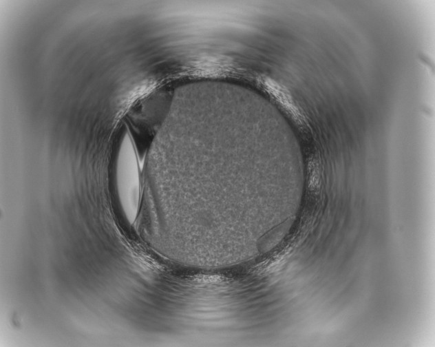X0000095530685200712281522