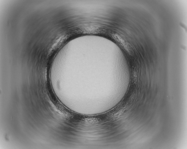X0000095530686200712281522