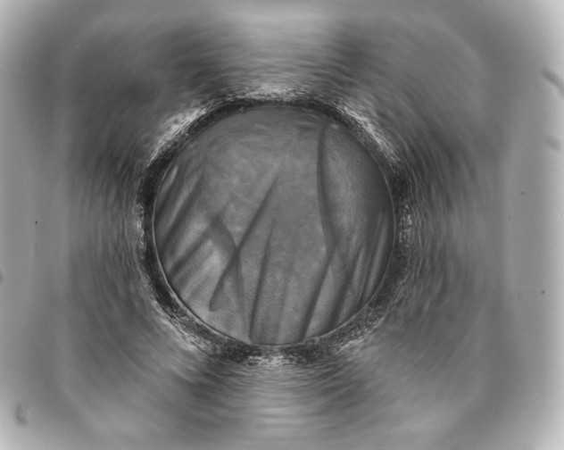 X0000095530688200712281522