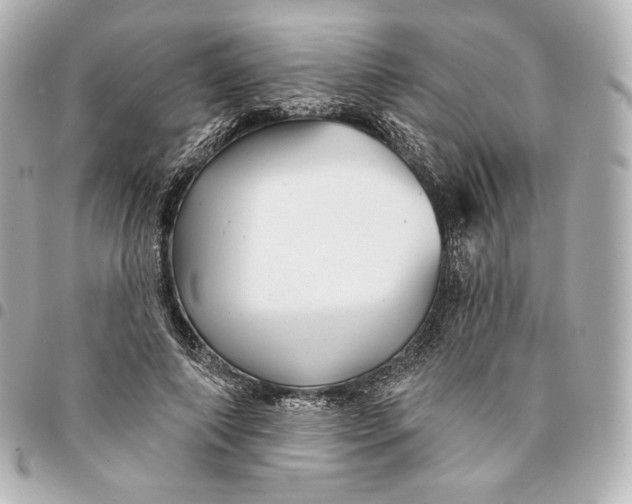 X0000095530690200712281522
