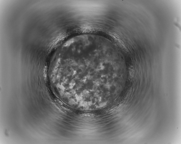 X0000095530691200712281522