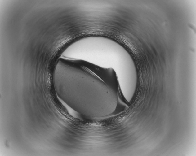 X0000095530692200712281522