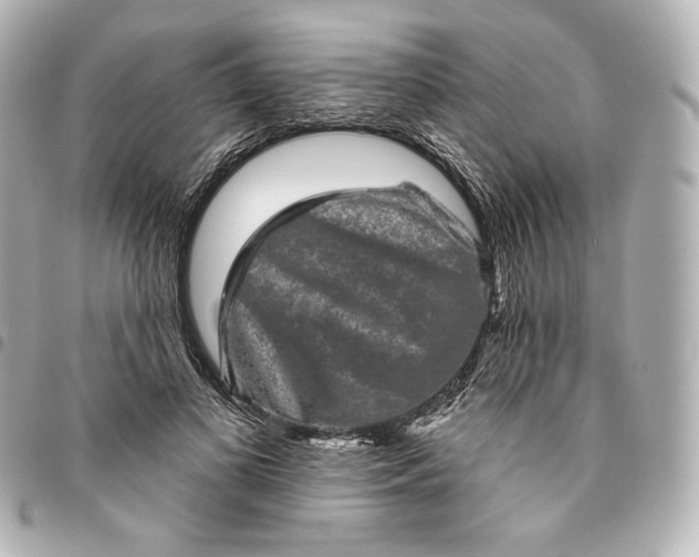 X0000095530693200712281522