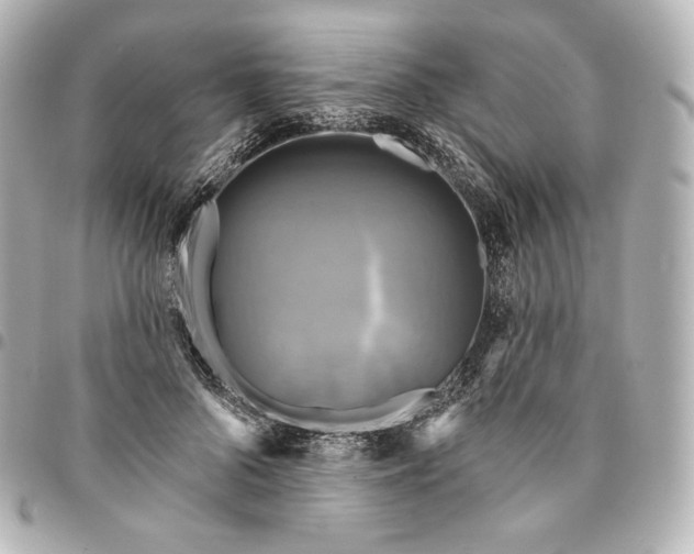 X0000095530696200712281522
