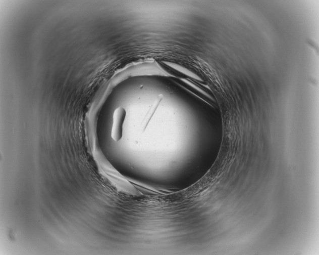 X0000095530697200712281522