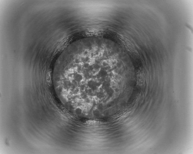 X0000095530699200712281522
