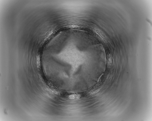 X0000095530700200712281522