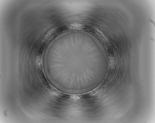 X0000095530701200712281522