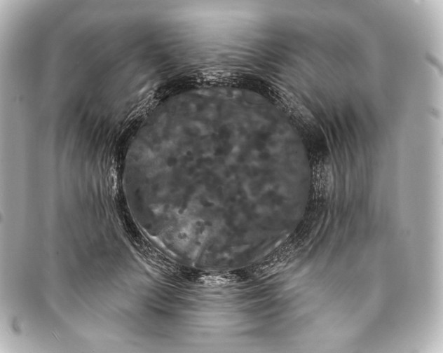 X0000095530703200712281522