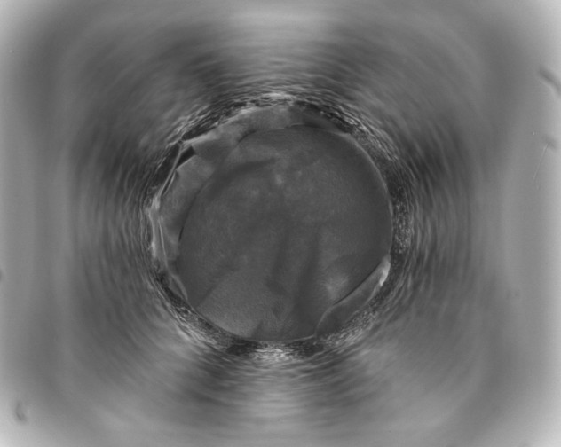 X0000095530704200712281522