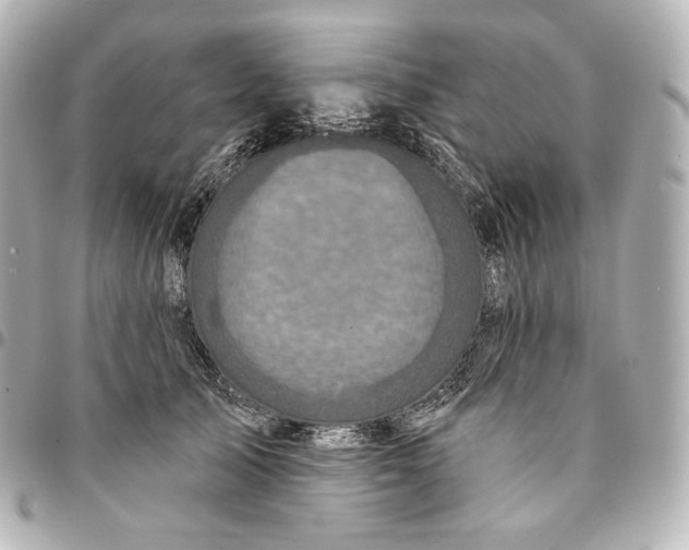 X0000095530705200712281522