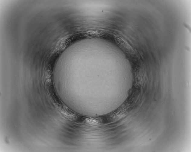 X0000095530706200712281522