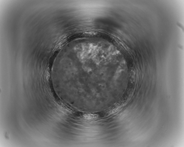 X0000095530707200712281522