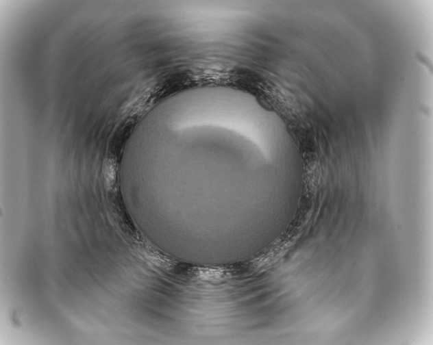 X0000095530709200712281522