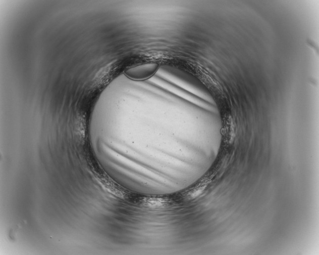 X0000095530710200712281522